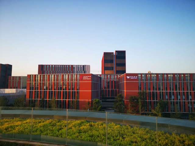 江苏钢衬F40公司